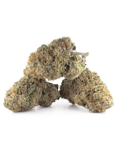 %product-name% Hauptansicht