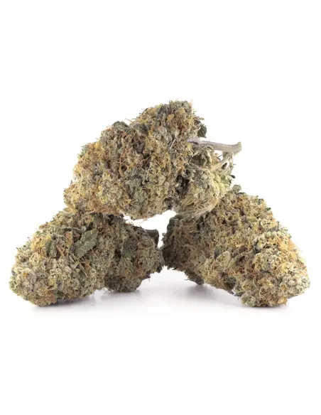 %product-name% principal