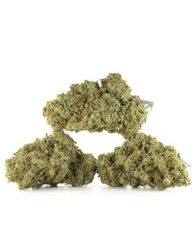 %product-name% principal