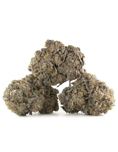 %product-name% Hauptansicht