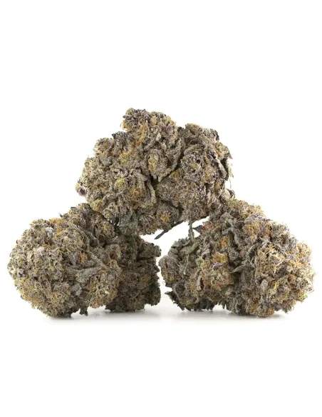 %product-name% Hauptansicht