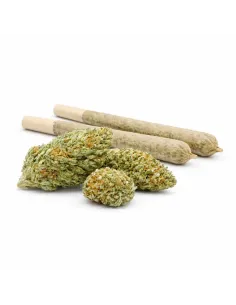 %product-name% principal