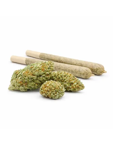 %product-name% Hauptansicht