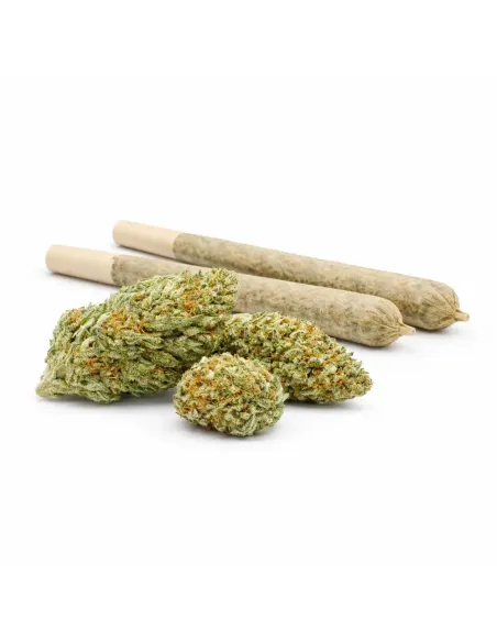 %product-name% Hauptansicht