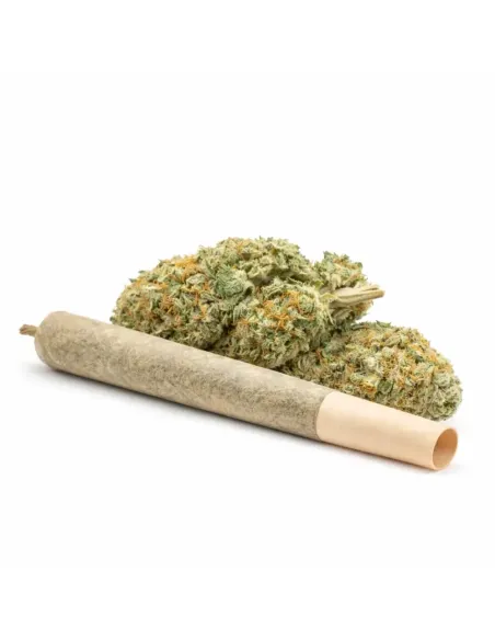 %product-name% Hauptansicht