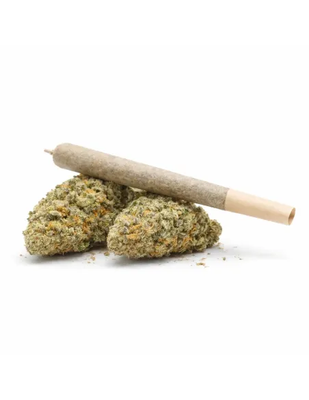 %product-name% principal