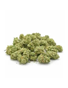 Fleur Black Diesel Small Buds 𝗚𝗕𝗭