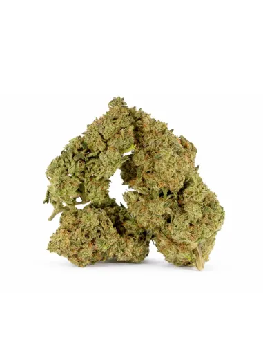 Fleur King Kong 𝗚𝗕𝗭+ – Fleur premium & effets | GBZ420