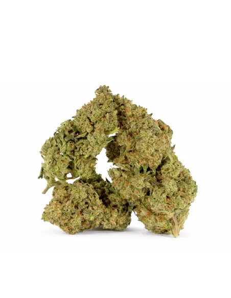 Fleur King Kong 𝗚𝗕𝗭+ – Fleur premium & effets | GBZ420