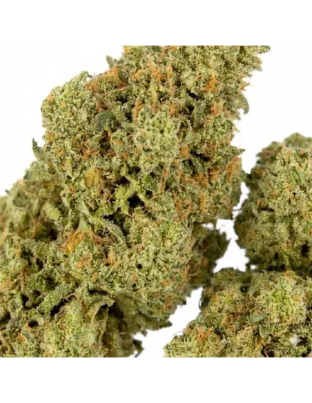 %product-name% closeup