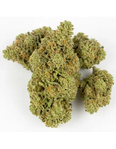 Fleur King Kong 𝗚𝗕𝗭+ – Fleur premium & effets | GBZ420