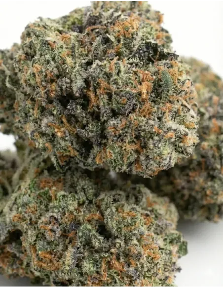 %product-name% closeup