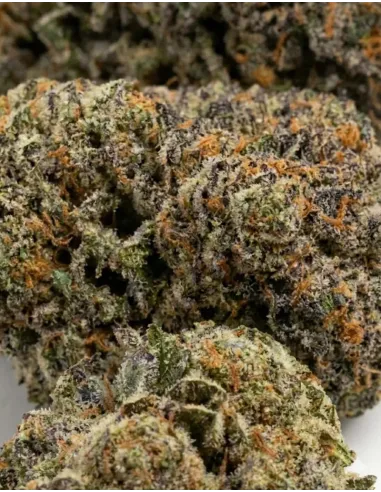 %product-name%Nahaufnahme