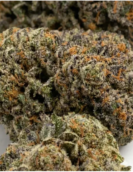 %product-name% closeup