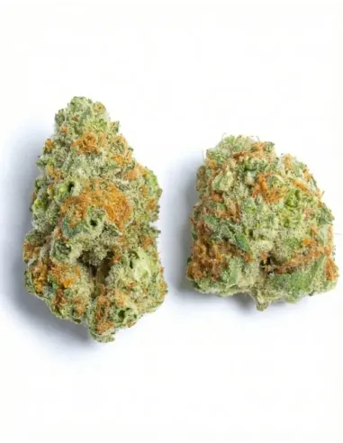 %product-name%Oberseite