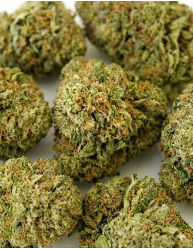 %product-name%Nahaufnahme