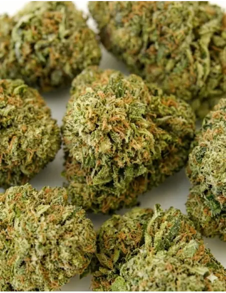 %product-name% gros plan