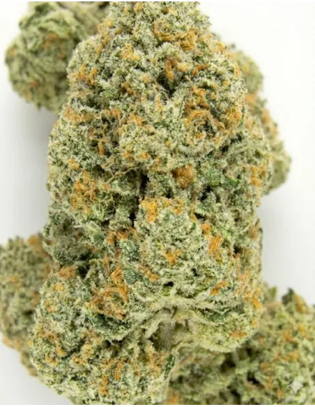 %product-name% gros plan;