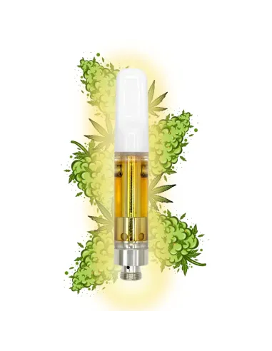 %product-name% Amnesie