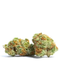 %product-name% principal