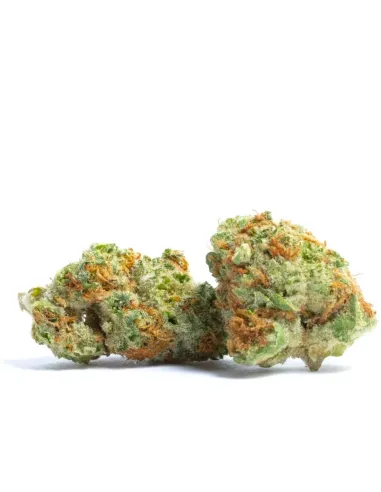 %product-name% principal