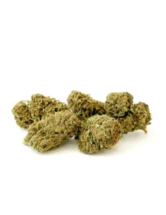 10-OH-HHC Fleur Sorbetto 1