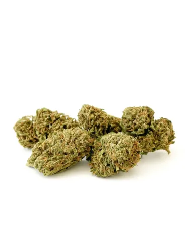 10-OH-HHC Fleur Sorbetto 1