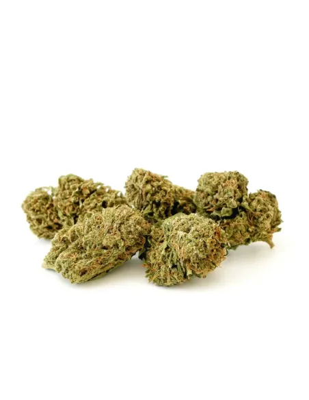 10-OH-HHC Fleur Sorbetto 1