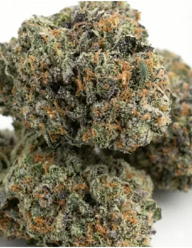 %product-name% closeup