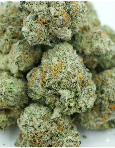 %product-name% Nahaufnahme