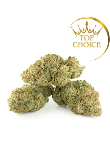 %product-name% Hauptansicht