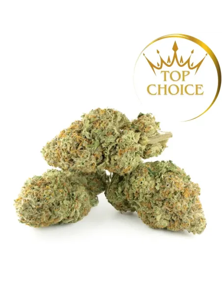 %product-name% principal