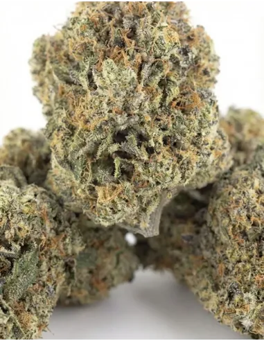 %product-name% closeup