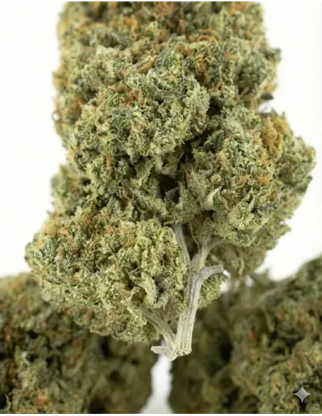 %product-name% gros plan