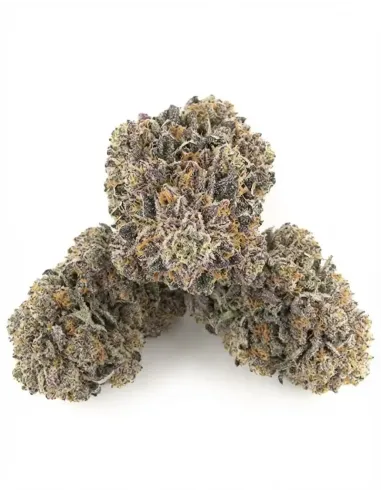 %product-name% Seitenansicht