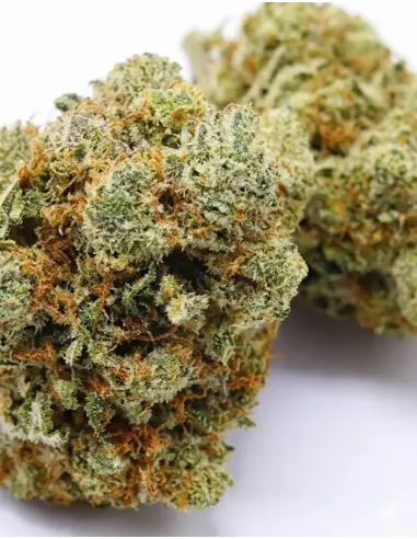 %product-name% gros plan