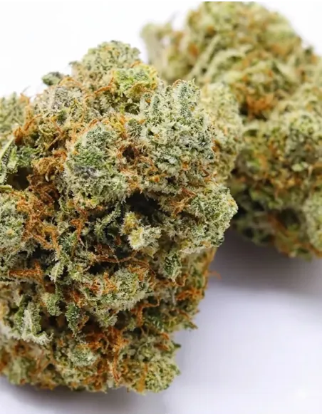 %product-name% closeup