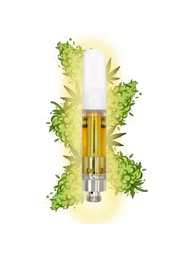 %product-name% amnesia