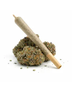 %product-name% main fr