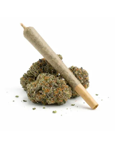 %product-name% de main