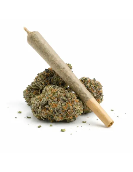 %product-name% main fr