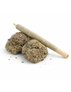 %product-name% main fr