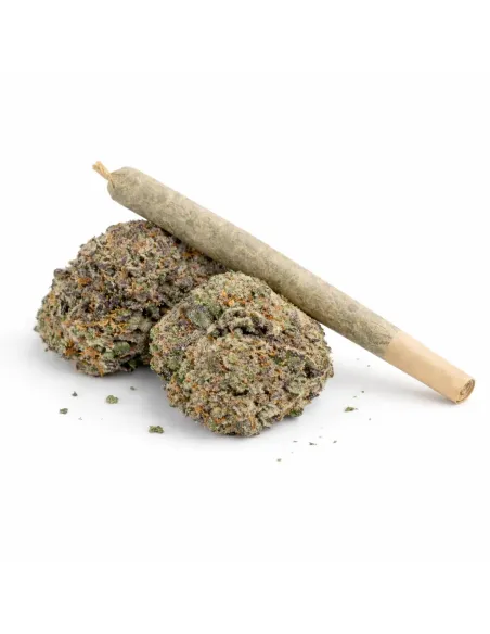 %product-name% main de