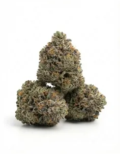 %product-name% main fr