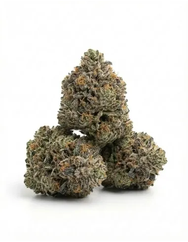 %product-name% main fr