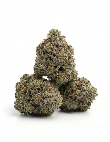 %product-name% main fr