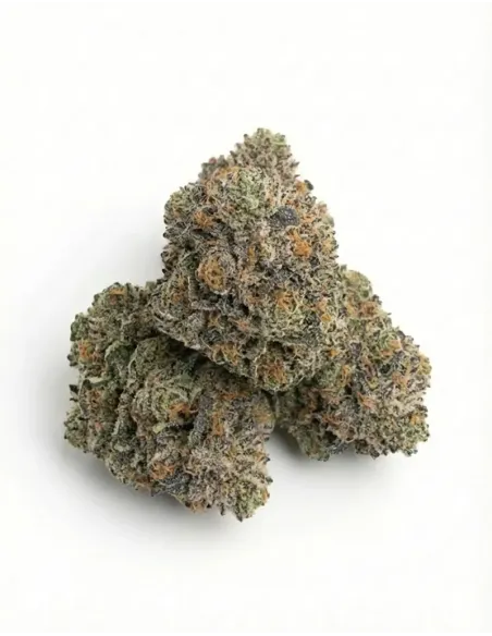 %product-name% top de