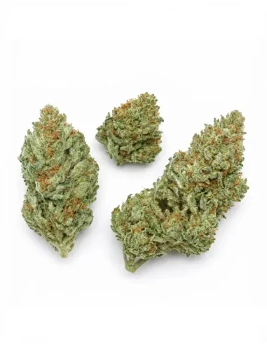 %product-name% top en