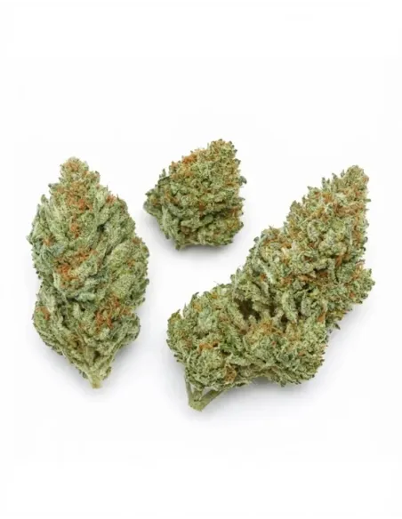 %product-name% top fr