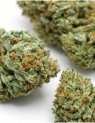 %product-name% closeup en